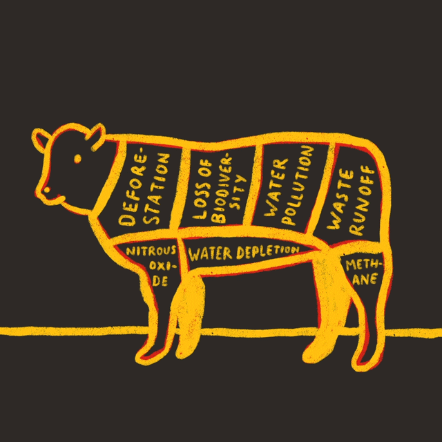 Yellow butcher's diagram showing cuts of beef on black background with cow silhouette